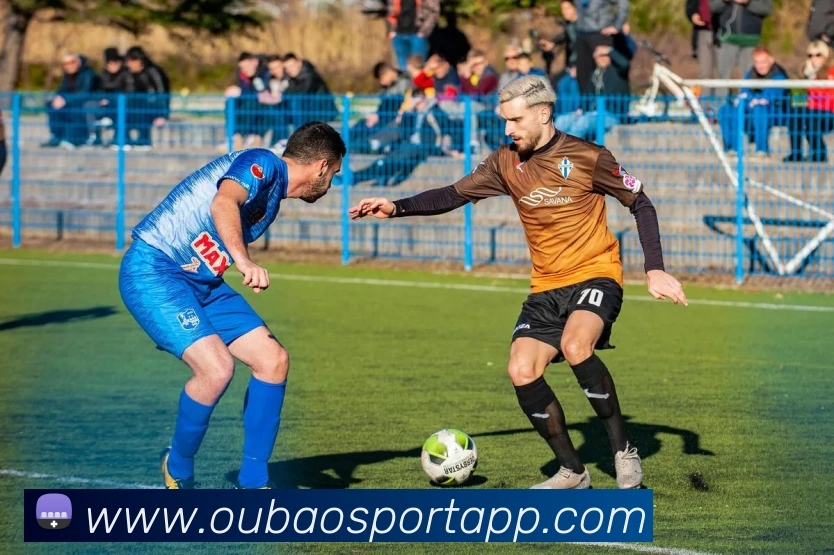 欧宝体育平台生态图