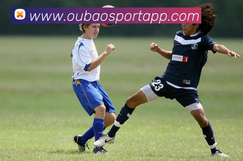 欧宝体育APP 封面图